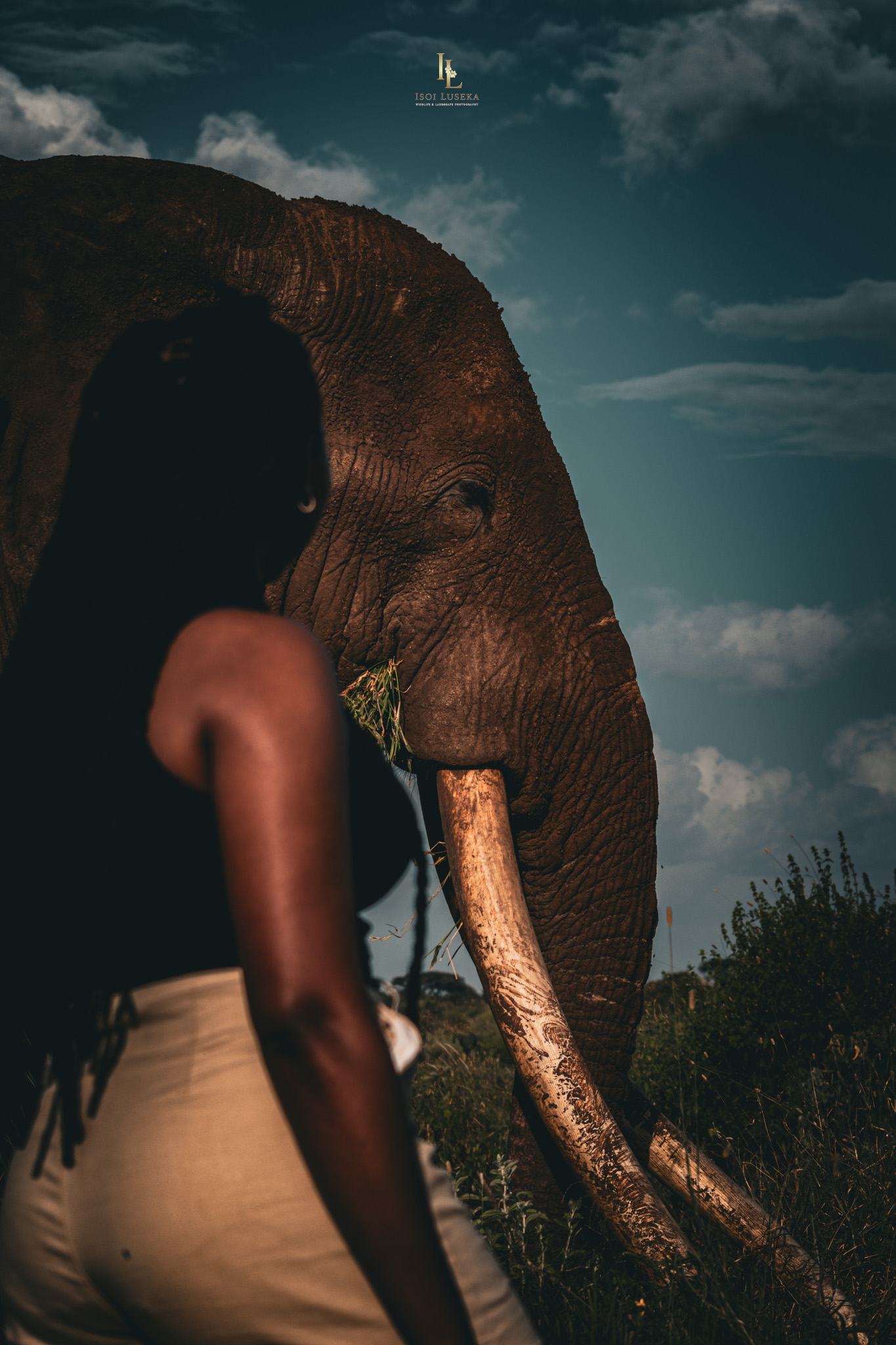 Archival Nature Photography